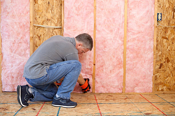 Best Insulation Installation Services in Jonesboro, IL